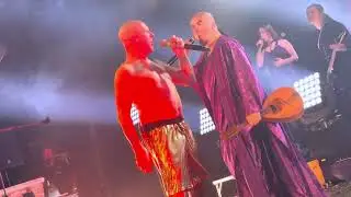 Knorkator – Wir werden alle sterben (Wuppertal, Live Club Barmen, Nov 20, 2025)