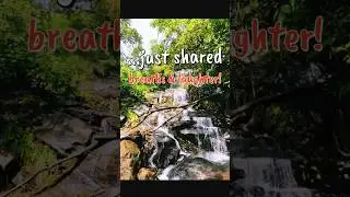 Мы встретились вчера&hellip; Природа создала нас племенем 🌿💧 #шортыдлятебя