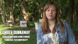 Fighting For Survival:  A Bee's Life