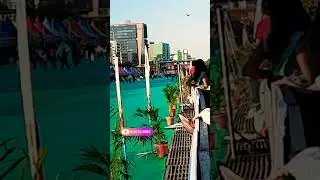 Kite Fastival 🪁 Ahmedabad, Gujarat #kitefestival #kitelover #patangujarat #patangbazi #kitefighting