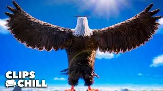 Conozca al Águila Poderosa | Angry Birds: La película