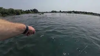 Waddington Top 5 Moments #fishing #bassfishing #stlawrenceriver