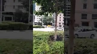 Collyer Quay Road @S'pore (Sept' 29,2022)
