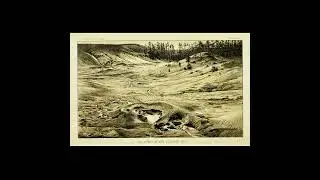 Mr Tumnus - Stomping Ground