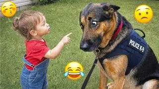 You Will Die Laughing At These Dogs 🐶 Best Animal Video Compilation You Can’t Miss 🤣 #147
