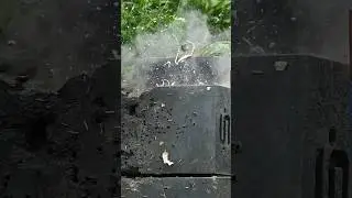 What Happens If You Shoot A Rolex? #shorts