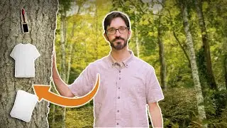 Les usages quotidiens surprenants des mat&eacute;riaux &agrave; base de bois &mdash; La bio&eacute;conomie foresti&egrave;re du Canada