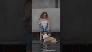 Woman Playing the Dog_A shorts animated film by Indian guide dogs #shorts #dog #happy
