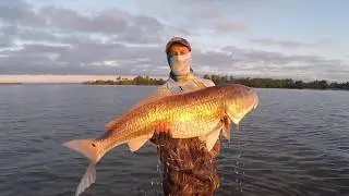Huge Bull Redfish in Early Morning