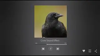 Crow Sound Effect - free download -MP4/WAV