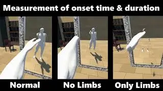 The effect of body presentation area on the onset time and duration of the illusory body ownership