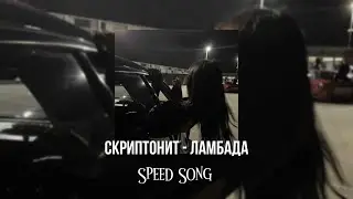 T-Fest & Сктриптонит - Ламбада ||speed up||
