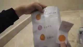 Opening zootopia blind bag 