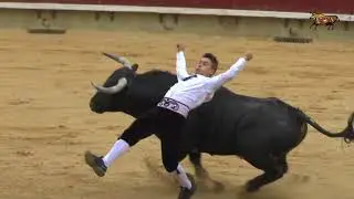 Recortador de Oro Castell&oacute;n Toros de Pe&ntilde;ajara 4-3-2018