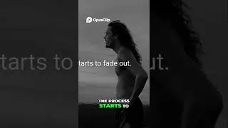 Rediscover Your Motivation  Overcoming the Struggles of New Goals | Motivational Speech