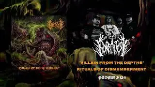 Goremitory - Villain From The Depths (Radamment Cover)