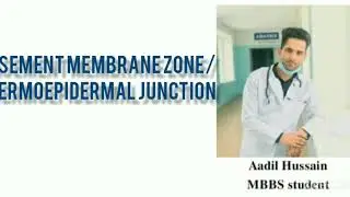 11: Basement membrane zone/Dermoepidermal junction