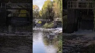 Altentreptow Tollense Fluss und Wehranlage #fluss #river #water #nature