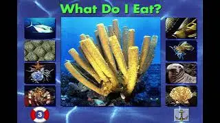 Undersea Adventure (1994) Full Playthrough