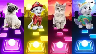 Dog - Marshall - Cat - Everest | Tiles Hop EDM Rush #tileshop #cat