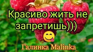 Лена USA HAPPY EVERY DAY. Обзор на старые видео.