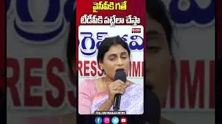 వైసీపీ గతే టీడీపీకి పట్టేలా చేస్తా | Ys Sharmila Comments Over Tdp | Mahaa News