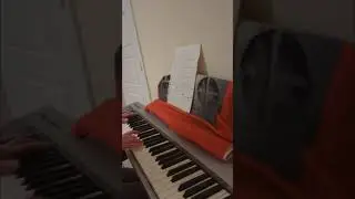 A LostAlone piano mega medley