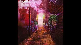 notbrian - bold