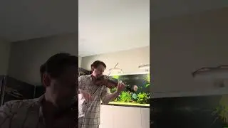 10,000 notes, zero audience awareness 🎻😂#barber #100daysofpractice #concerto #violinist #fypage
