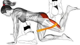 10 Best Resistance Band Exercises for A Perfect Booty Workout