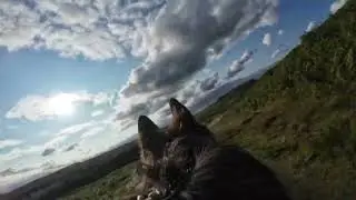  Walk with Thor around Upper Burbage Derbyshire. 