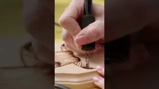 Alysia Carmen shares pyrography insights #pyrography #pbs #fortwayne #localartist #art