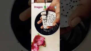 dragon fruit juice 🥤 l special drink l #cooking #chill #children #summer #special #trending #reels
