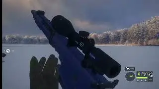 🔴LIVE🔴  ULTIMATE  GRAY WOLF GREAT ONE  hunt | theHunter: Call of the wild🔴LIVE🔴