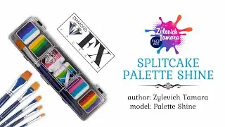 Review of the Splitcake Palette SHINE Diamond FX.
