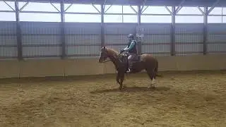 SB Virtual Horse Show Western - January Submission - Adult Walk/Jog Ranch Riding