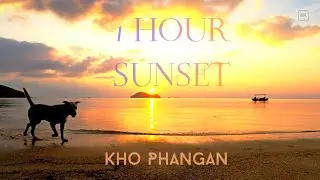 1-Hour Sunset on Koh Phangan: Natural Waves, Beach Dogs & Fishing Boat | No Music | 4K