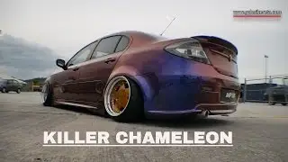 Killer Chameleon Fxck Yo Wrap | Speed Junkies 2016