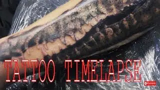 Crocodile Tattoo Timelapse