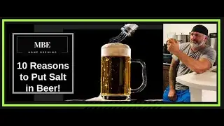 Salt in Beer: 10 Reasons People Salt Their Beer