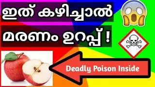 Eating Apple Seed is Dangerous ! - Malayalam | Kidilan Facts #Shorts #shortvideo