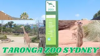 TARONGA ZOO SYDNEY FULL TOUR