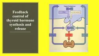 Chemical Communication