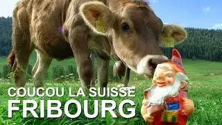 Coucou la Suisse : Fribourg, Morat, le Papiliorama et Gruyères