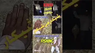 BOTTOM FISHING UPDATES ! MUBARAK VILLAGE FISHING ! #vilog #bottomfishing #mubarakvillage #video#fyp 