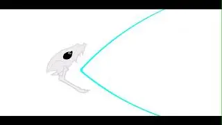 Gaster Blaster test