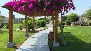 Aurora Oriental Resort Sharm El Sheikh | Beach to Reception | Sept 2025 unfiltered 