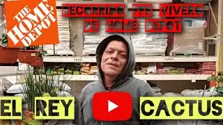 MIRA ESTAS PLANTAS EN UN HOME DEPOT con sus PRECIOS 