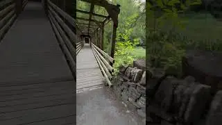 Faskally Forrest