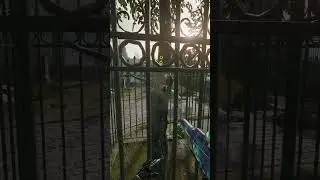 CALL OF DUTY BLACK OPS 6 SHOCK CHARGE GLITCH TUTORIAL #cod #nebula #tutorial